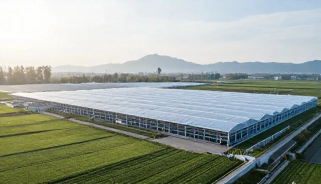 仓储配送系统稳定性对业务发展趋势的影响